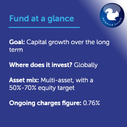 Balanced fund at a glance Feb24